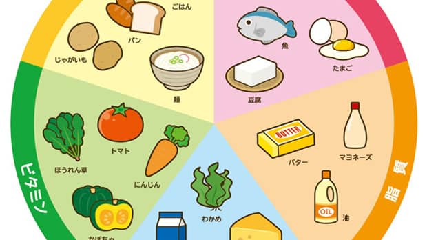 栄養と食材のチャート図