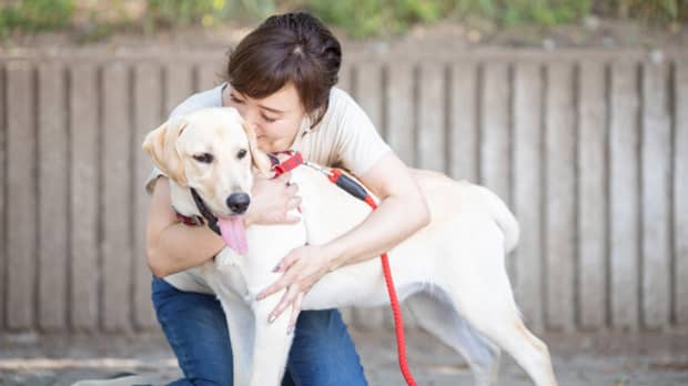 犬とからざステーションの職員