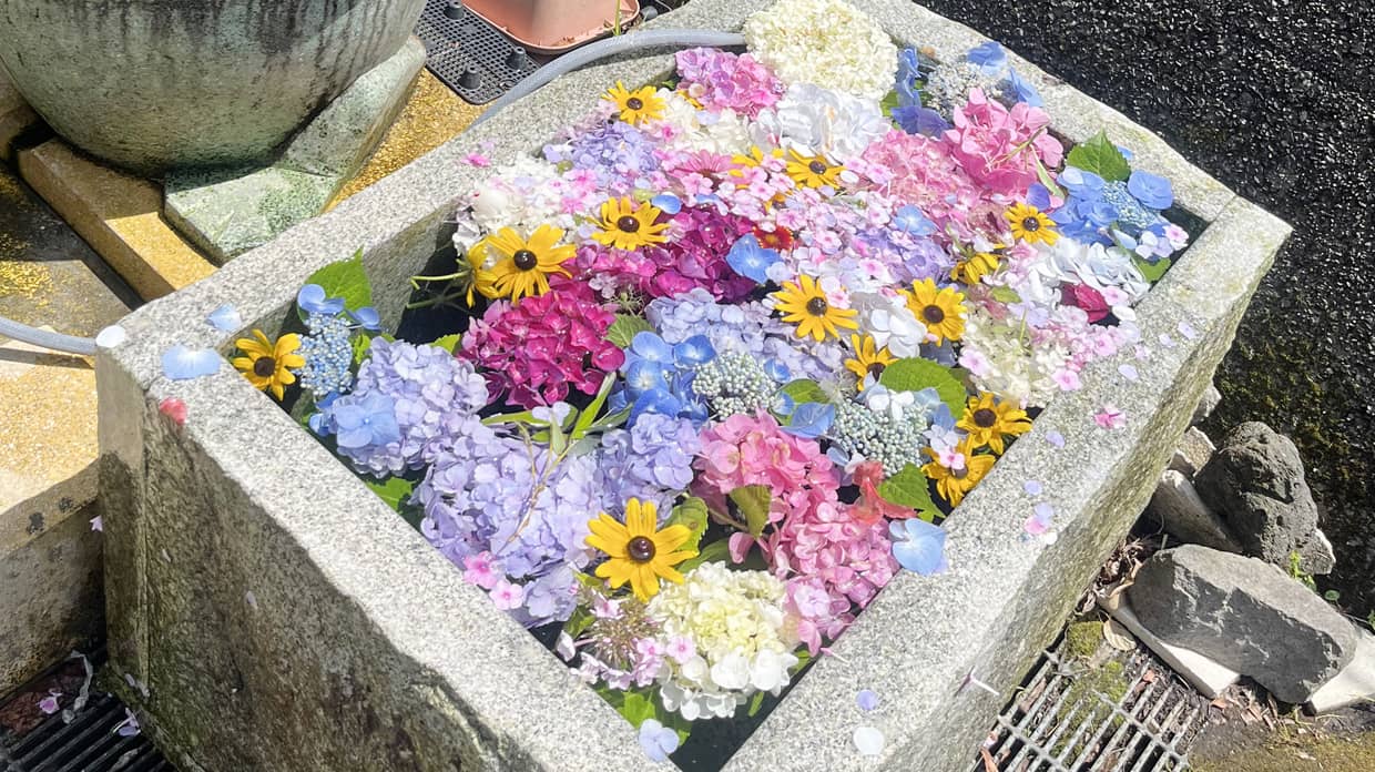 石の水槽に沢山の花