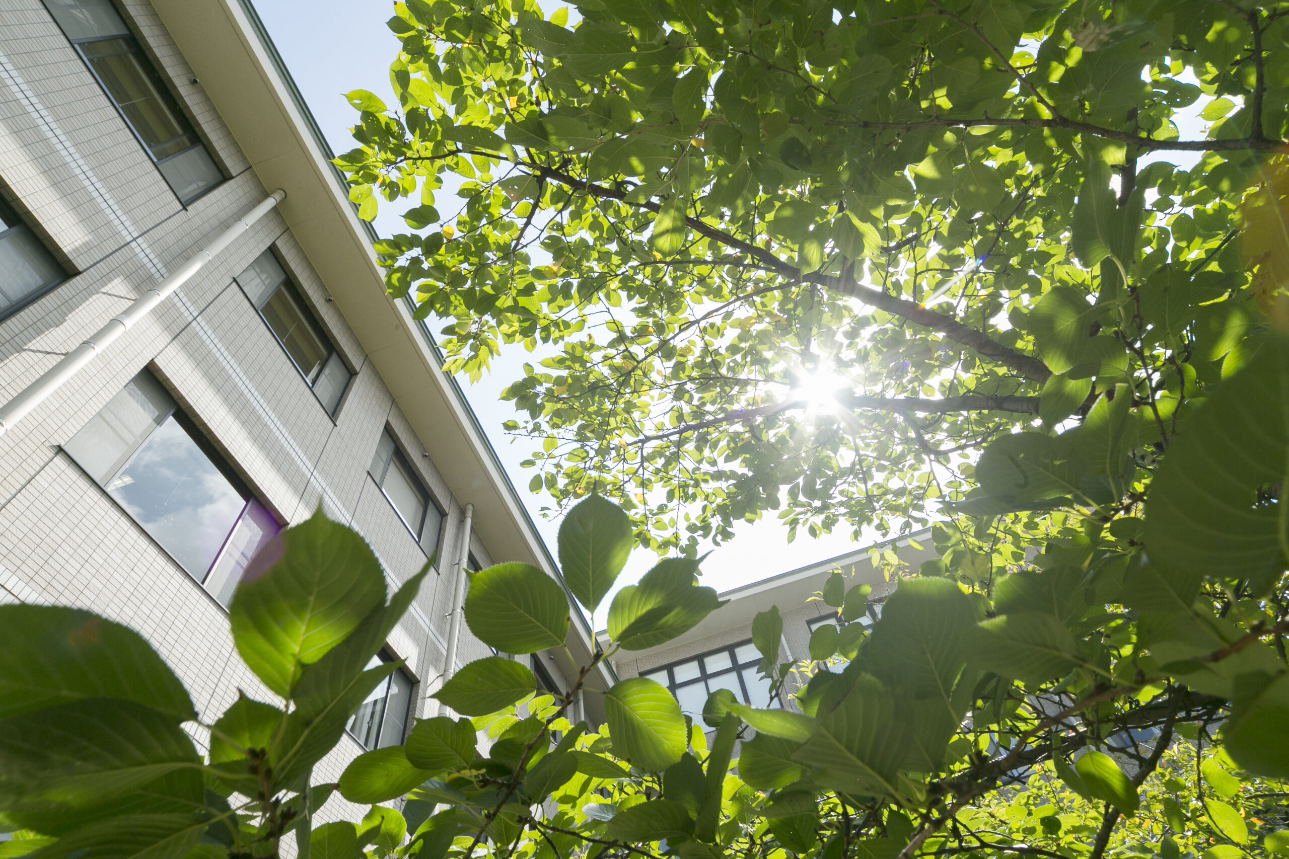 油山病院の中庭