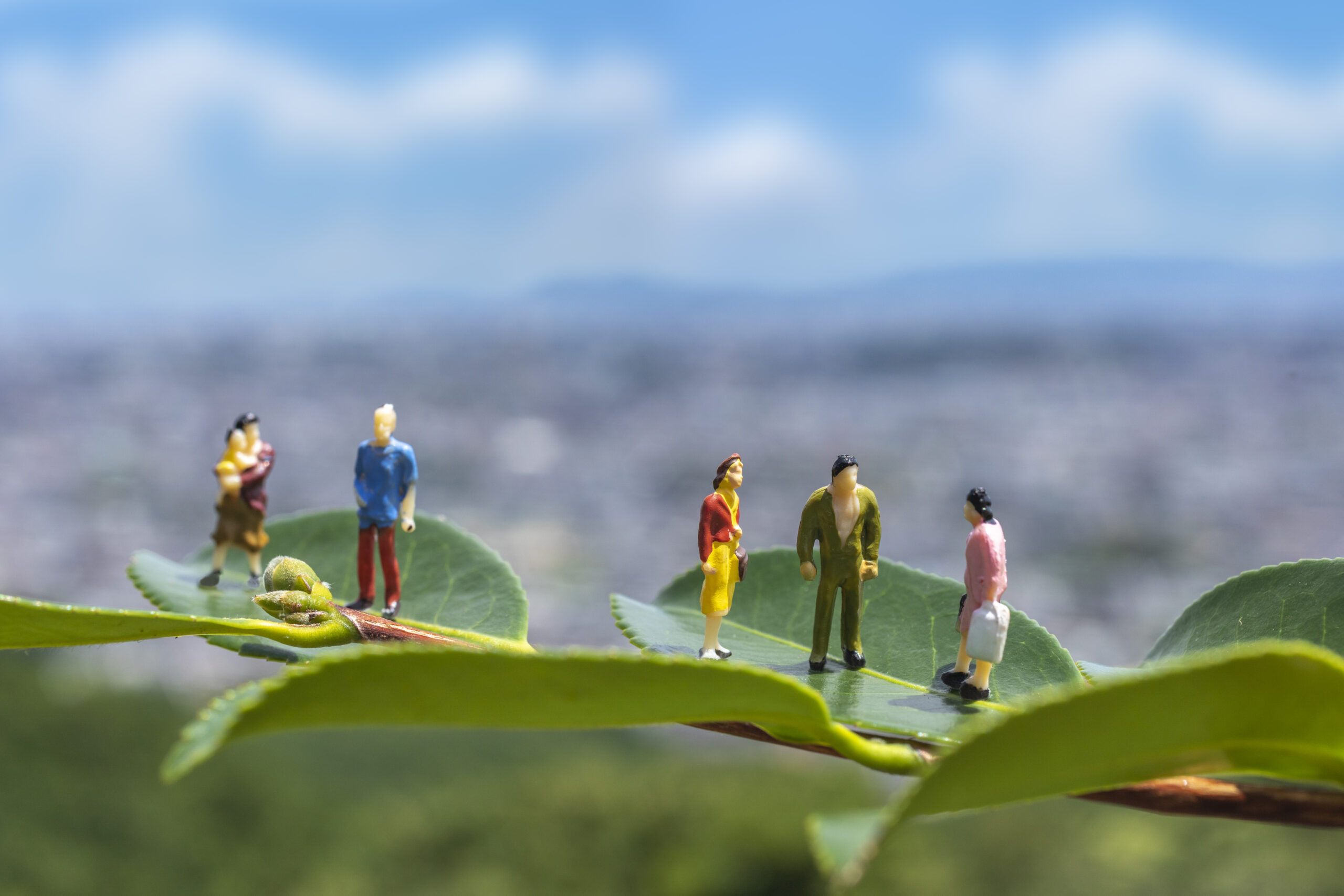 医療関係者の皆様へ